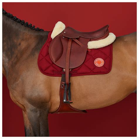 hermes pferd|hermes horse riding gear.